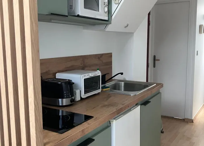 Centre-ville Climatise Avec Parking Gratuit קלרמונט-פרנד