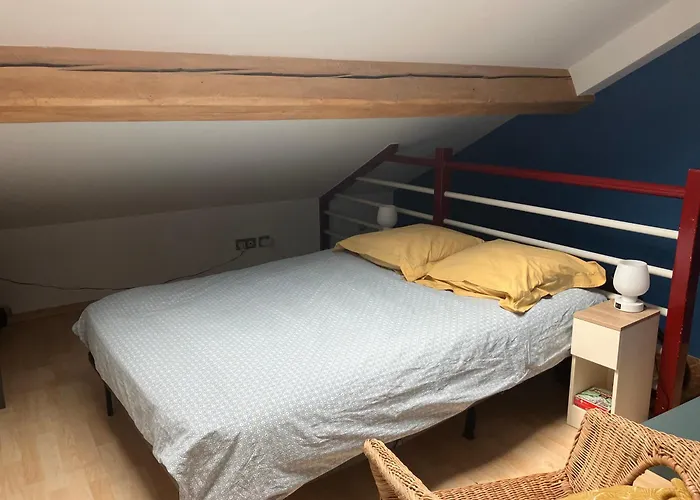 Centre-ville Climatise Avec Parking Gratuit * Clermont-Ferrand