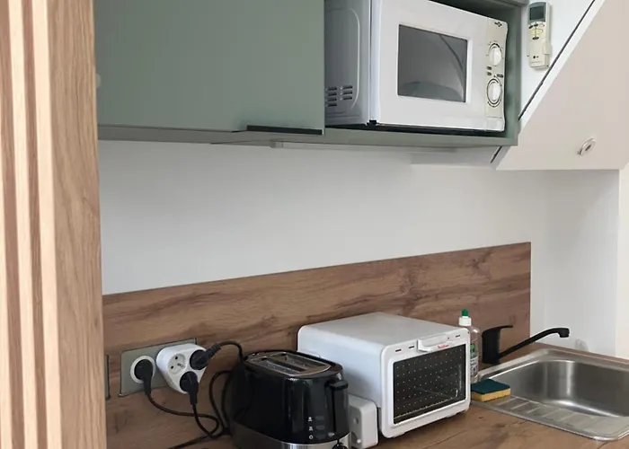 Apartment Centre-ville Climatise Avec Parking Gratuit